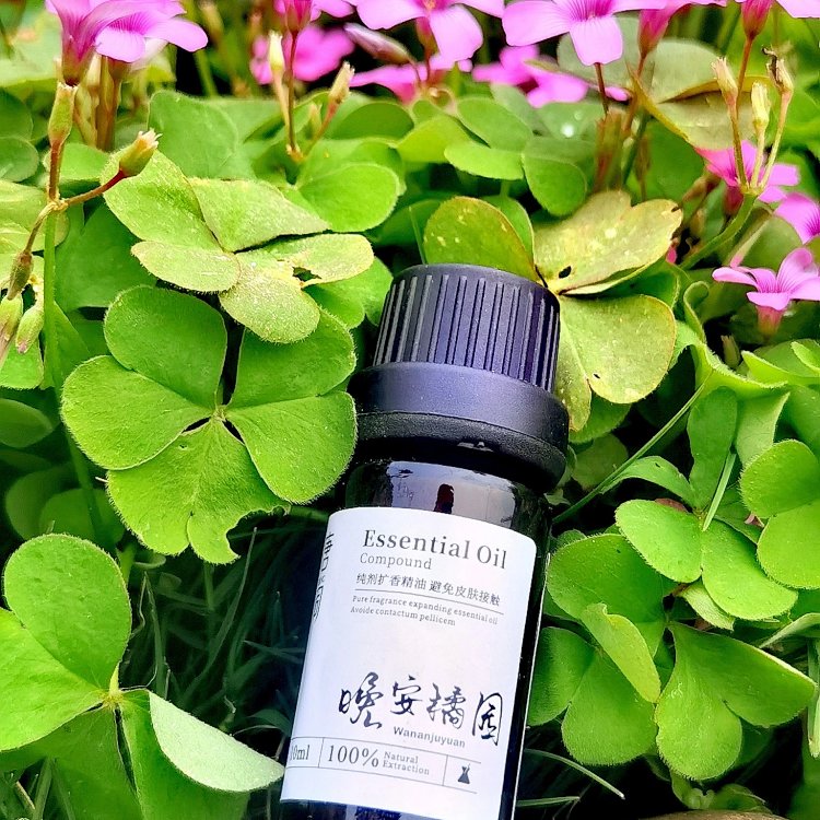 [Tang Dynasty Style Orange Grove Scented Diffuser Oil] Sleep-aiding essential oil